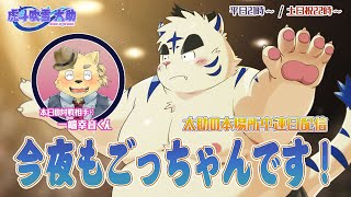 今夜もごっちゃんです！太助の本場所中連日配信【十一月場所十三日目】