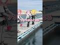 【#うおロケ】未公開シーンpart34：おさかな天国～海上釣堀ver～【#うおむすめ】 #vtuber #shorts