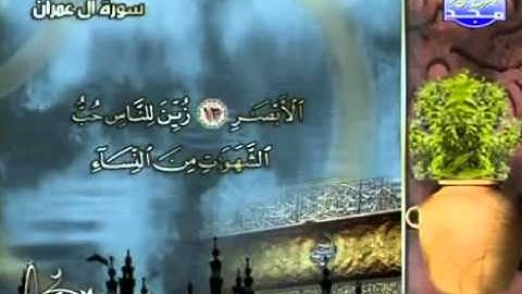القارىْ محمد عبد العليم   ما تيسر من سورة آل عمران
