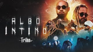 Algo Íntimo - Tribo Da Periferia ( Official Music Vídeo )