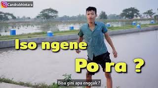 (Thanks for 2rb viewers)STORY WA 30 DETIK lucu terbaru 2020