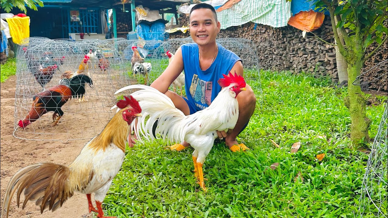 Tốp Những Bé 🐓 Có Nước Nui Sơ Phục Vụ Ae Nhảy 💃 Múa🕺 Ae Xem Clip Vui