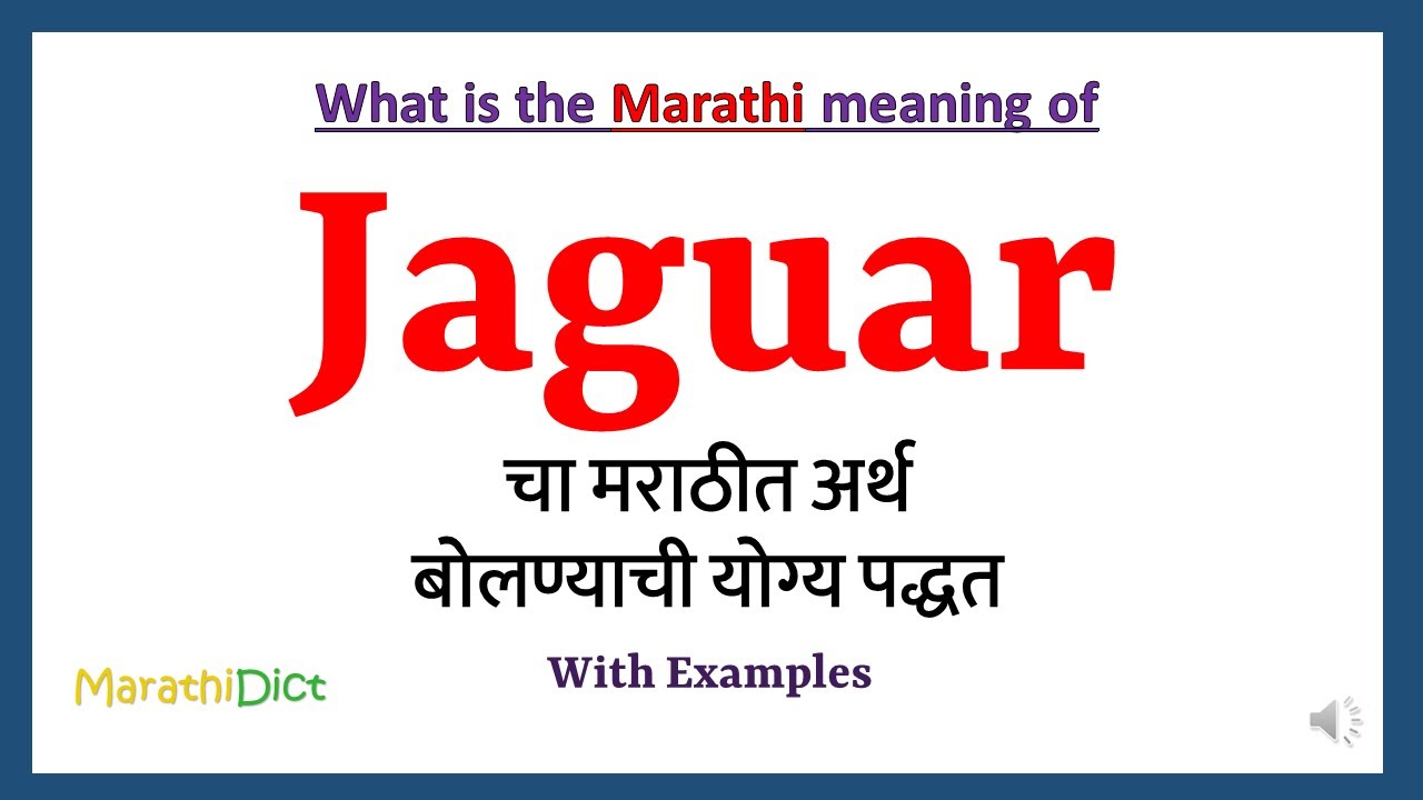 Jaguar Meaning in Marathi | Jaguar म्हणजे काय | Jaguar in Marathi  Dictionary | - YouTube
