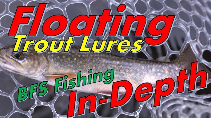 How To Pick The Best Trout Lure For Any Situation (BFS Trout