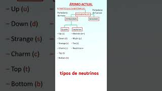 6 Leptones