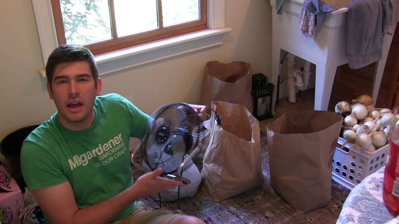 how to change wifi password How We Cure Potatoes & Onions To Stay Fresh For Months