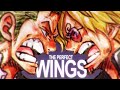 Zoro and sanji  the perfect wings