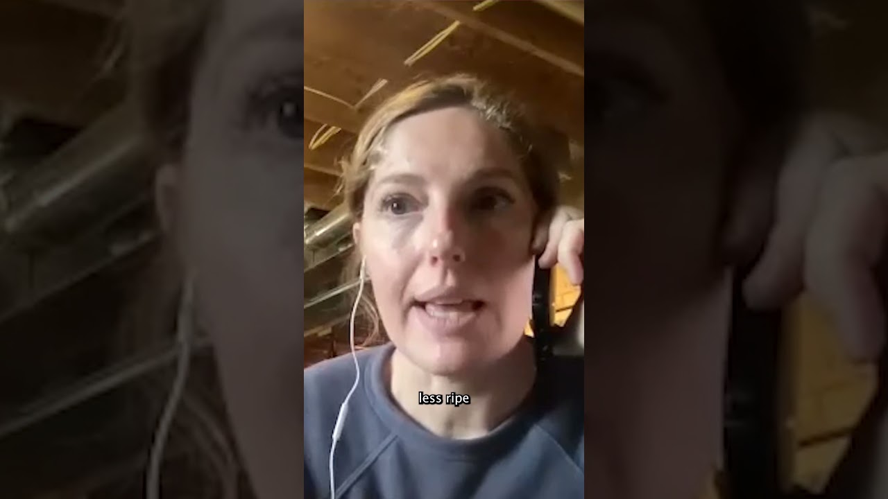 How to Grill Fruit | Abra Berens TST Interview