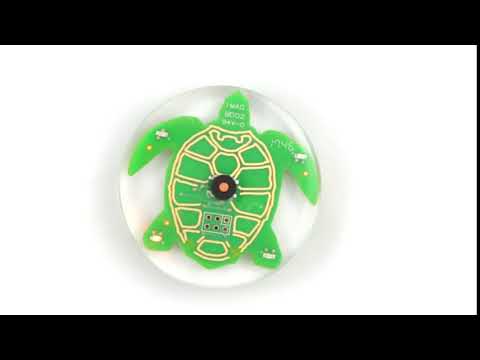 Turtle Timer Works 2018