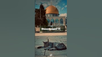 وَلَا تَقُولَنَّ لِشَيْءٍ إِنِّي فَاعِلٌ ذَٰلِكَ غَدًا I القارئ محمد صديق المنشاوى رحمه الله I الكهف
