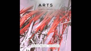 Electric Rescue - Bray (Keith Carnal Remix) [Arts Digital]