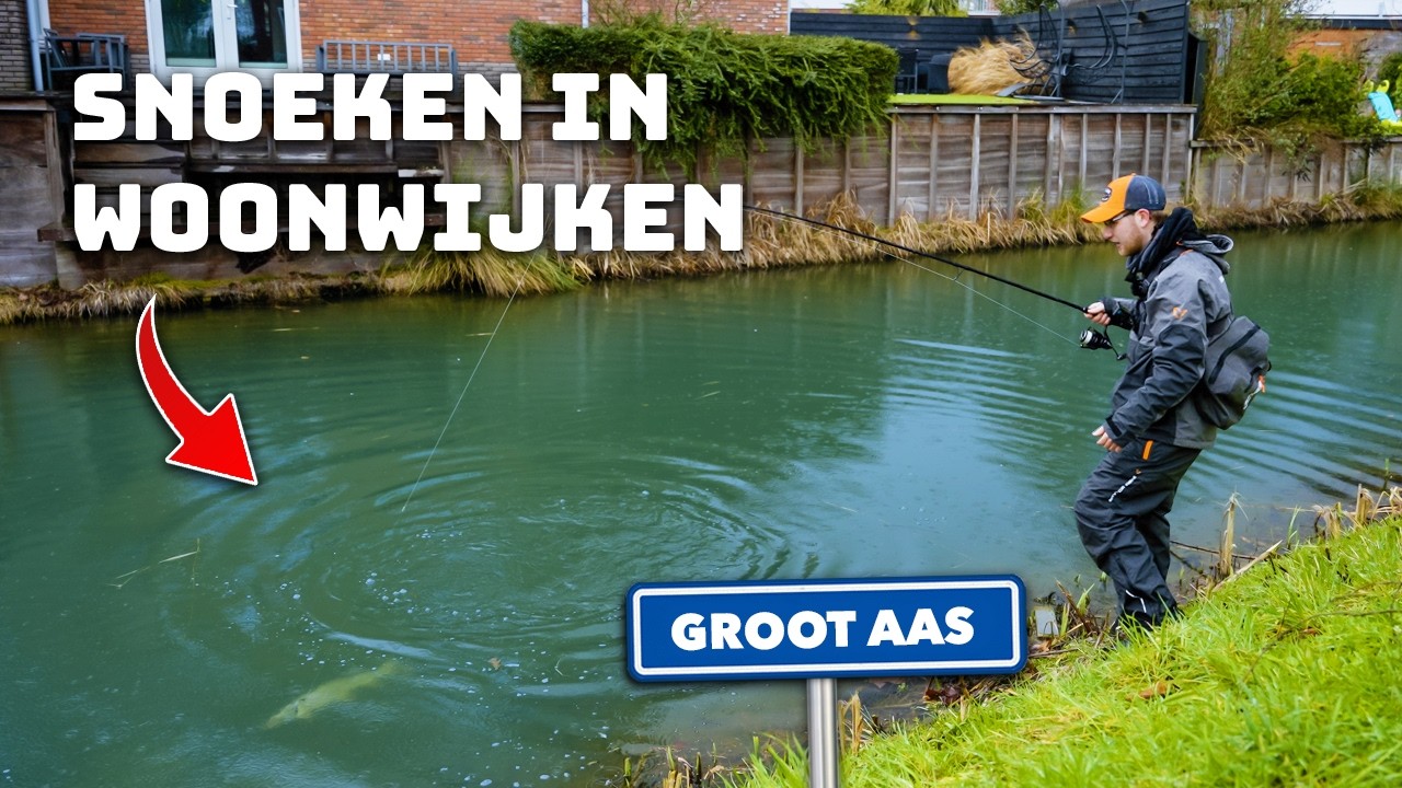 BIZARRE vangst midden in een WOONWIJK! - VISSEN met 3D KUNSTAAS!