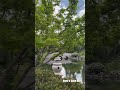 Finding Peace: A Quiet Day at The Huntington’s Chinese Garden |Homi’s Quiet Days| #californiatravel
