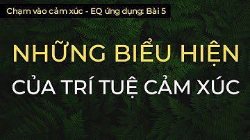 NHỮNG BIỂU HIỆN CỦA TRÍ TUỆ CẢM XÚC | SERIES "CHẠM VÀO CẢM XÚC - EQ ỨNG DỤNG" | BÀI 5