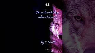 Download Lagu Storms make people stronger and never last forever MP3