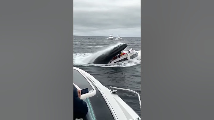 ¡IMPACTANTE! Ballena Se Traga un Barco con Personas 😱🐋