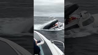 ¡IMPACTANTE! Ballena Se Traga un Barco con Personas 😱🐋