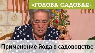 Голова садовая - Применение йода в садоводстве