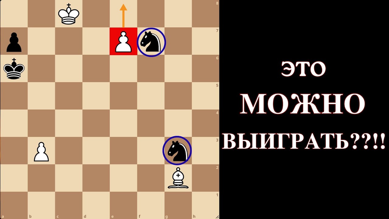 Это можно выиграть?! Шокирующий этюд, который ломает мозг