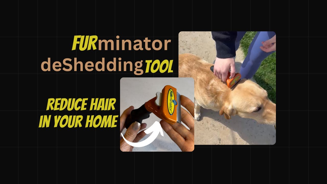 Review of the FURminator Medium Dog Undercoat deShedding Tool 