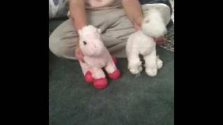 Webkinz Dance Party
