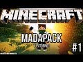 MINECRAFT MADAPACK #1 - il ritorno?