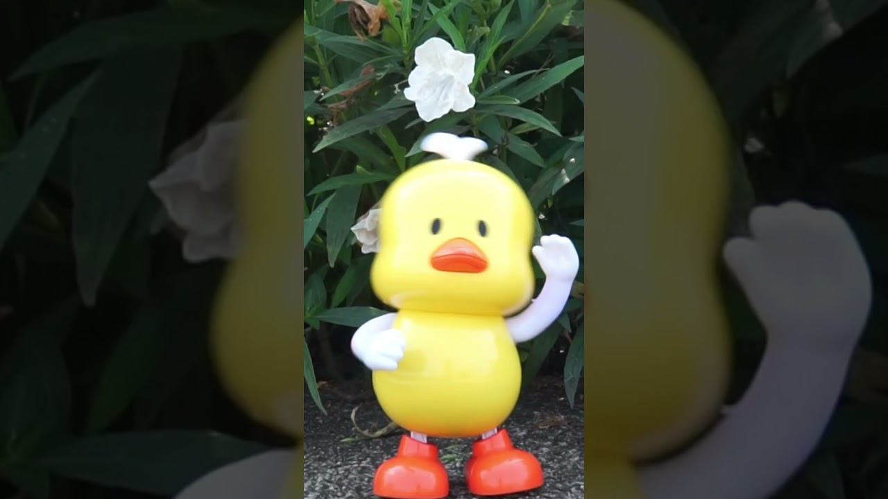 เพลงเป็ดก้าบก้าบ | รีวิวของเล่นเป็ด