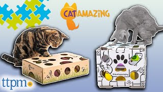 *Puzzle Toys for Cats* from Cat Amazing! Classic and Slider Toys Review | Are They Worth It? | TTPM