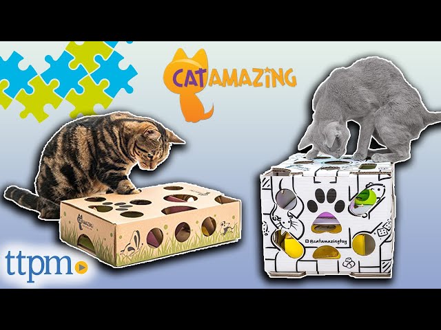 Cat Treat Puzzle Cat Puzzle Toys Cat Puzzle Toys Interactives Cat Treat Maze  Toy