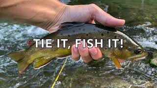 How To Tie and Fish The Renegade Dry Fly-Tie It, Fish It!