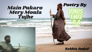 Main Pukaro Mery Moula Tujhe PoetrY By Yunus Emre R.A