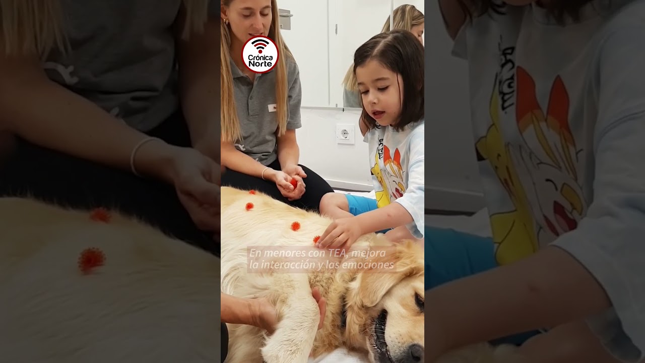🐕‍🦺🐕 ¿Sabías que los animales son esenciales ayudando en diversas terapias? Descúbrelo en este vídeo