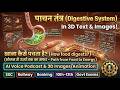 पाचन तंत्र (Digestive System) 3D Infographic Notes | SSC, Railway,10th-12th | Other Govt. Exams