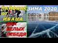 ЗИМА 2020 ЛАЙФХАК ОТ ИВАНА БЕЛЫЙ ЛЕБЕДЬ НА ПРУДУ