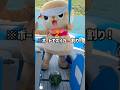 ちぃたん☆と日本初上陸モンタラボートでスイカ割り！🍉ボートの中でスイカ割りができるくらい大きいボート！なんと、ウェイクサーフィン🏄‍♂️もできるよ！ #ちぃたん #マリンスポーツ #琵琶湖