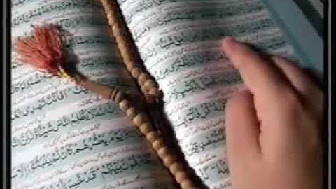 تلاوة خاشعة للشيخ نبيل العوضي من سورة التوبة