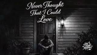 Never Thought That I Could Love by Dan Hill - Late Night Melodies (AI Cover)