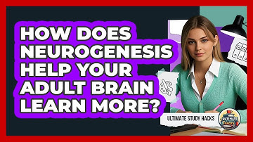 How Does Neurogenesis Help Your Adult Brain Learn More? - Ultimate Study Hacks