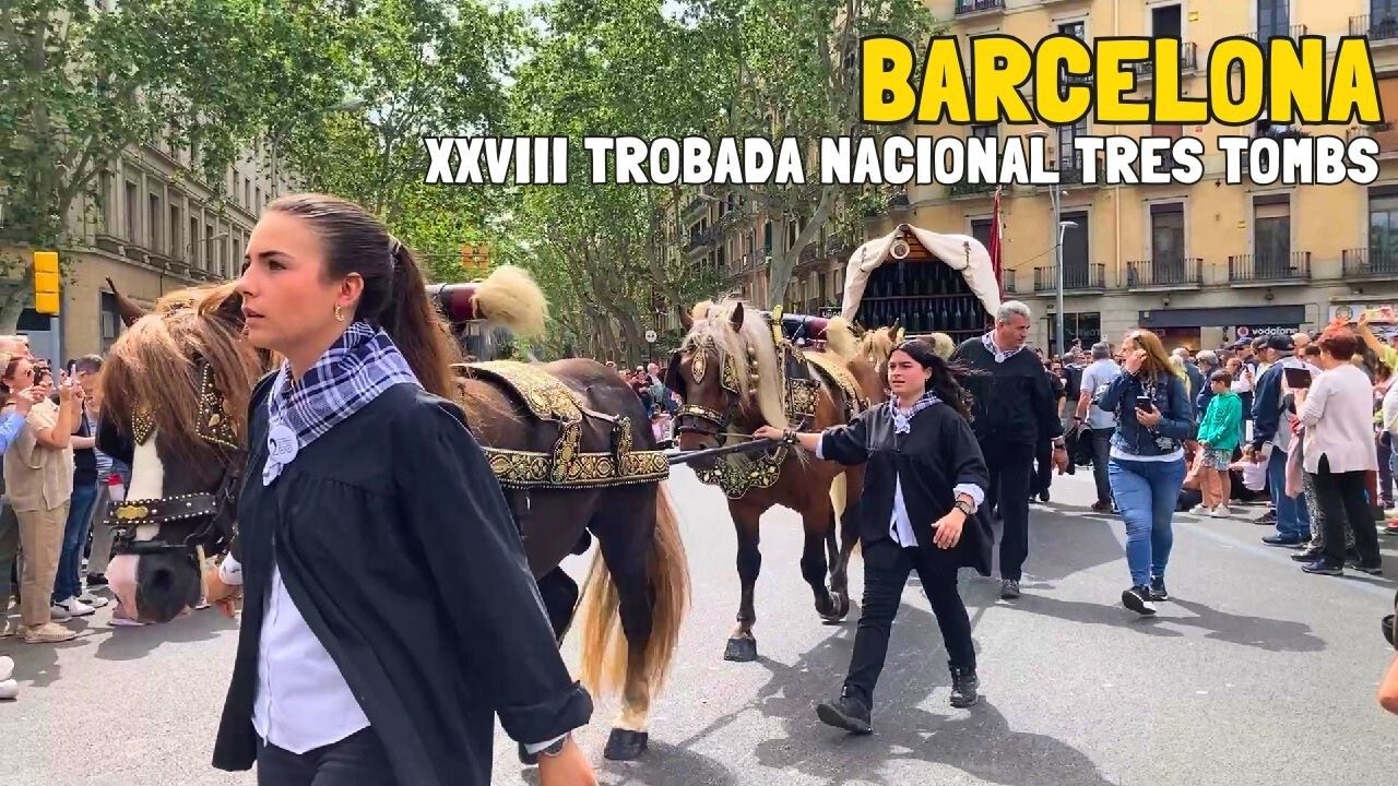 XXVIII Trobada Nacional dels Tres Tombs de Catalunya a Barcelona | Bicentenari dels Tres Tombs