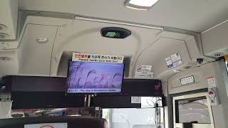This Stop Is Namdaemun Market.