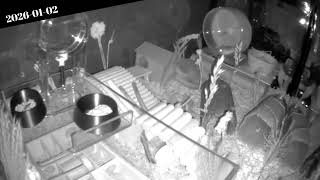 Hamsters Cams 2026-01-02