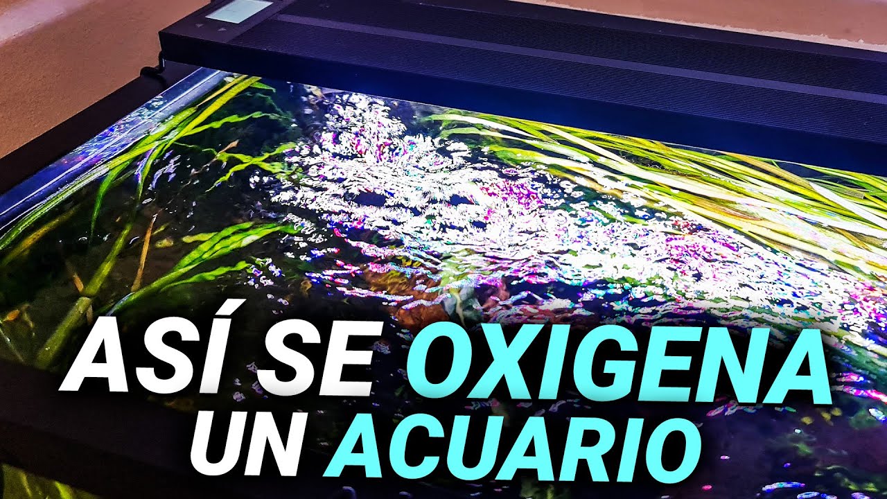 Las mejores ofertas en Bombas de Aire de Acuario