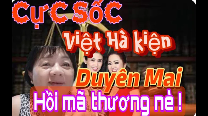 H l B n pha sau v kin b Trng Vit H vi YouTuber Duy...