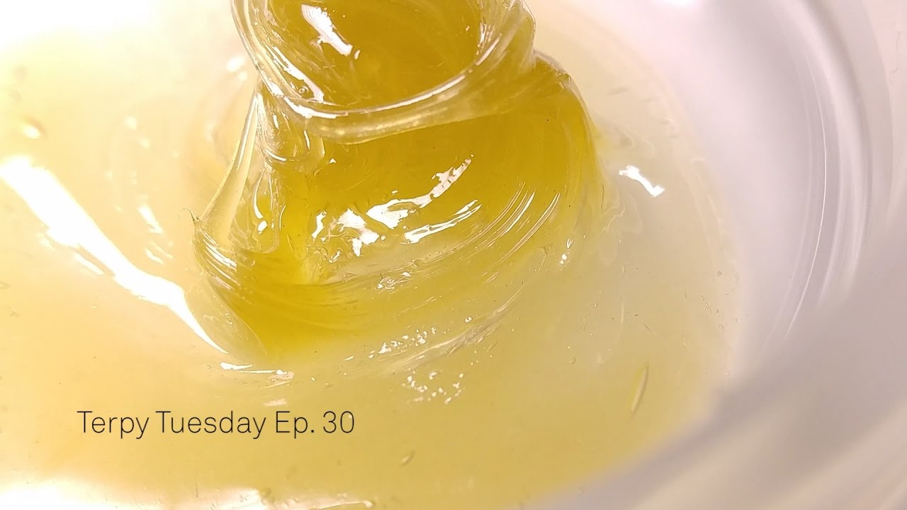 Higher Ground Sherbet Live Rosin: Terpy Tuesday Ep. 30
