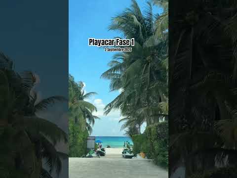Playa del Carmen 2 Septiembre 2025 #playa #shortvideo