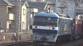JR貨物 EF210-126号機(岡山)+コキ26両 貨物列車8053レ 2019.02.16