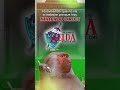 Yo avisando que no ire porque se viene un super Nintendo Direct 🎮🕹️🔥#NintendoDirect #Zelda