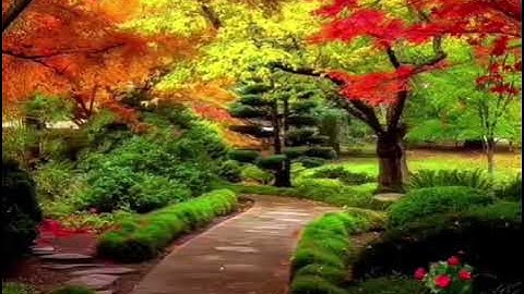 1- سورة الفاتحة كاملة للقارئ سلمان العتيبي