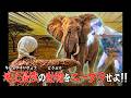 【検証】藤田に“最強の動物”を憑依させたらダンスィングフィッソン族に勝てる？【バンビーノ】