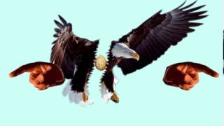 gif animal